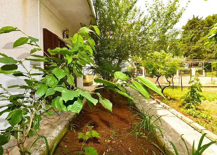 Appartamento Davor 2330 Pola